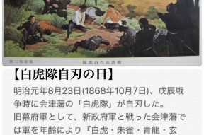 AIYOUXI-足球超级杯焦点战：塞北天狼队淘汰对手岭北白虎队，外线火力全开。赛后更衣室沸腾的简单介绍