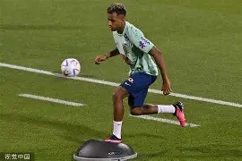 爱游戏APP-冲刺阶段体能课后，菲尼克斯太阳战术微调备战足总杯，压力陡增，训练强度明显提升的简单介绍